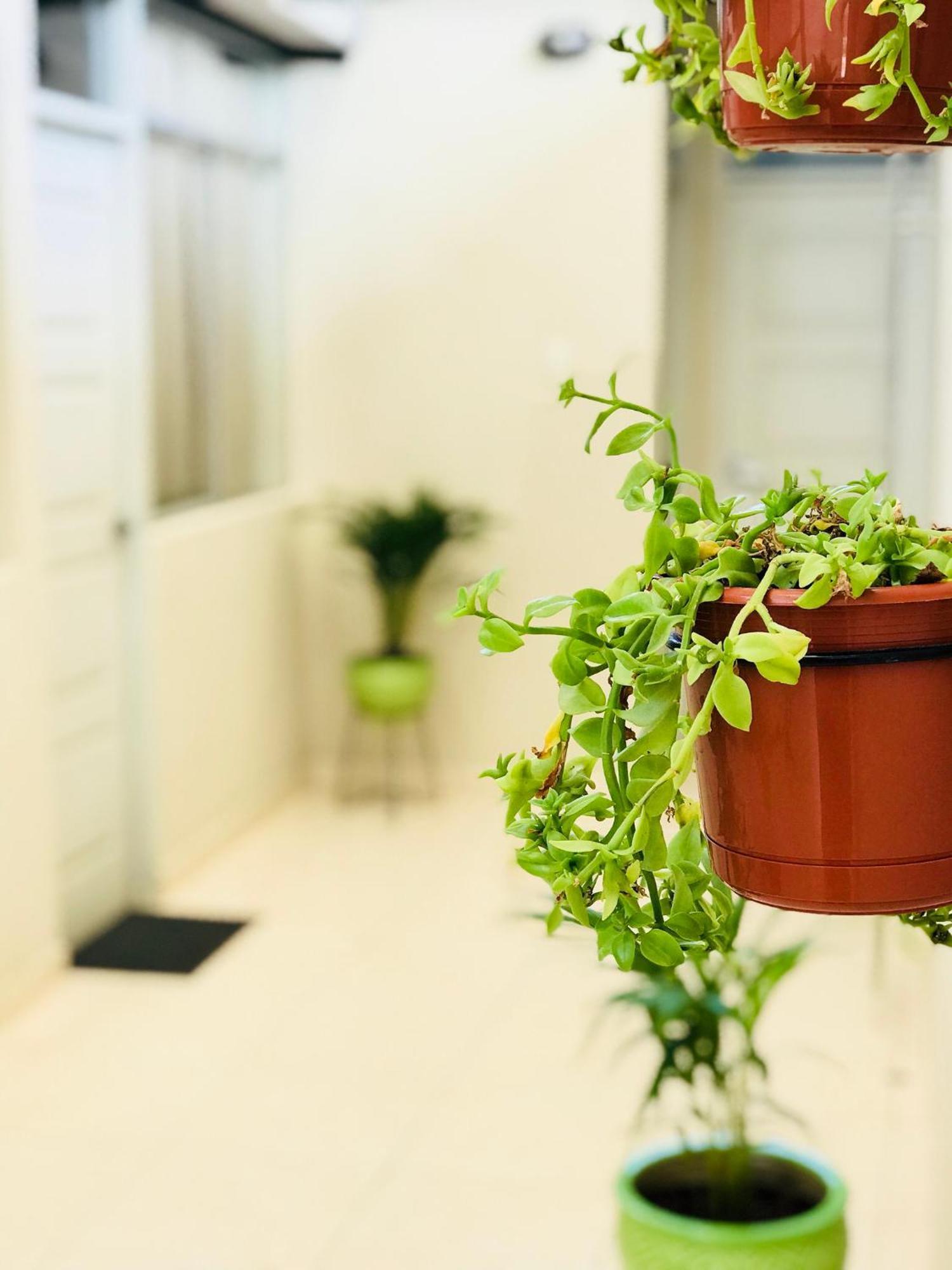 Garden House Piura Apartment Ngoại thất bức ảnh