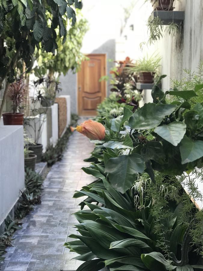 Garden House Piura Apartment Ngoại thất bức ảnh